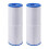 Spa-Filter für PRB50-IN Whirlpoolfilter, C-4950 Guardian 1