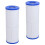 Spa-Filter für PRB50-IN Whirlpoolfilter, C-4950 Guardian 2