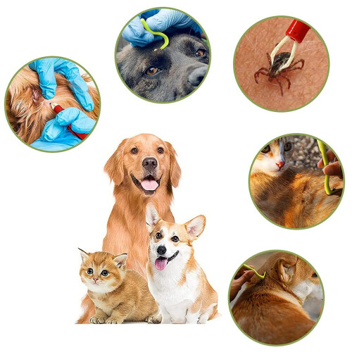 Pinzette per zecche per cani, gatti, bambini, set da 3, ganci per zecche e set da 2 2