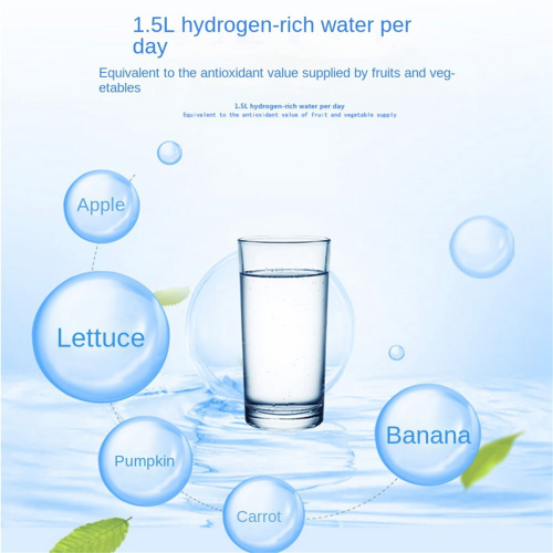 Rich Hydrogen Water Bottle Water Ionizer Machine Water Filter EU Plug 2