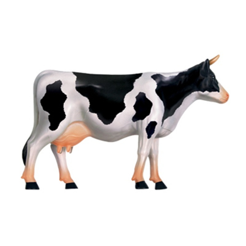 Animal Organ Anatomy Model 4D Cow Intelligence Assembling Toy 2
