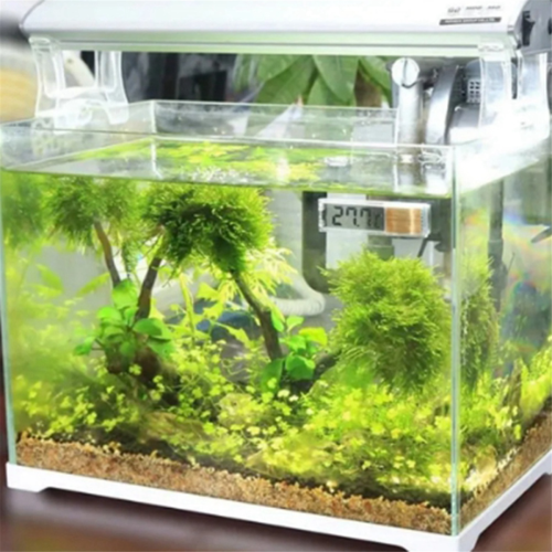 Aquarium Thermometer Electronic Digital Fish Tank Accessories A 2