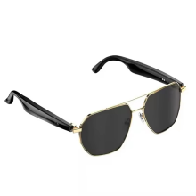 Lunettes de traduction intelligentes W100C avec IA