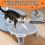Adjustable Cat Ramp Litter Box Step Double Layer with Filter Function 5
