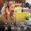 Auriculares Bluetooth con micrófono, auriculares Bluetooth para camioneros 2