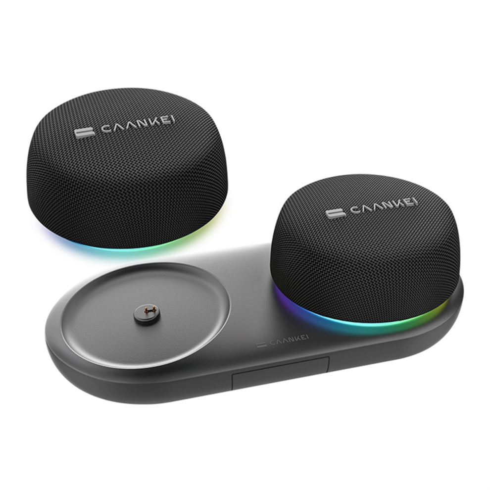Caankei Bluetooth Small Speaker, With Loud Hd Sound And Robust Bass 4851967862165