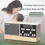 Langaton Bluetooth 8 -kaiutin, FM-radio 3