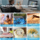 Art Projector for Tracing Drawing Painting, Drawing Projector 6
