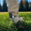 2-in-1-Golfball-Teehalter mit Schnellverschluss – Golfzubehör 5