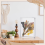 2 Pcs Acrylic Shadow Boxes Display Cases, Shadow Box DIY Frame Clear 3