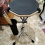 Drumstokhouder Drumstoktas voor drumset Klem op stokhouder 5