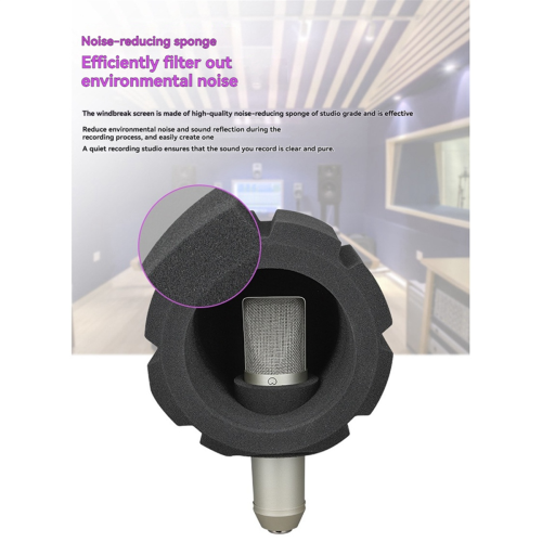F2 Microfoonscherm Akoestisch filter Spons Windscherm naar filter B 1