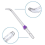 Beccuccio per irrigatore orale - Accessori per igiene orale - per -100,4PCS 5