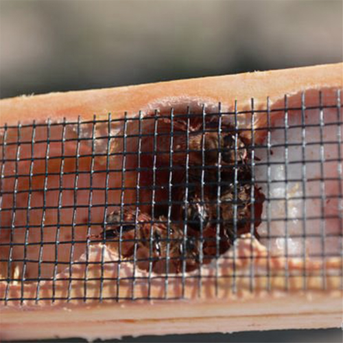 Queen Bee Cage, Mutil-Functional Beehive Bee Cage Rearing Cage Cell 2