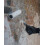 Dryshield Cream 3L: Dryzone System: Salt Resistant Masonry Cream 3