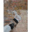 Dryshield Cream 5L: Dryzone System: Salt Resistant Masonry Cream 2