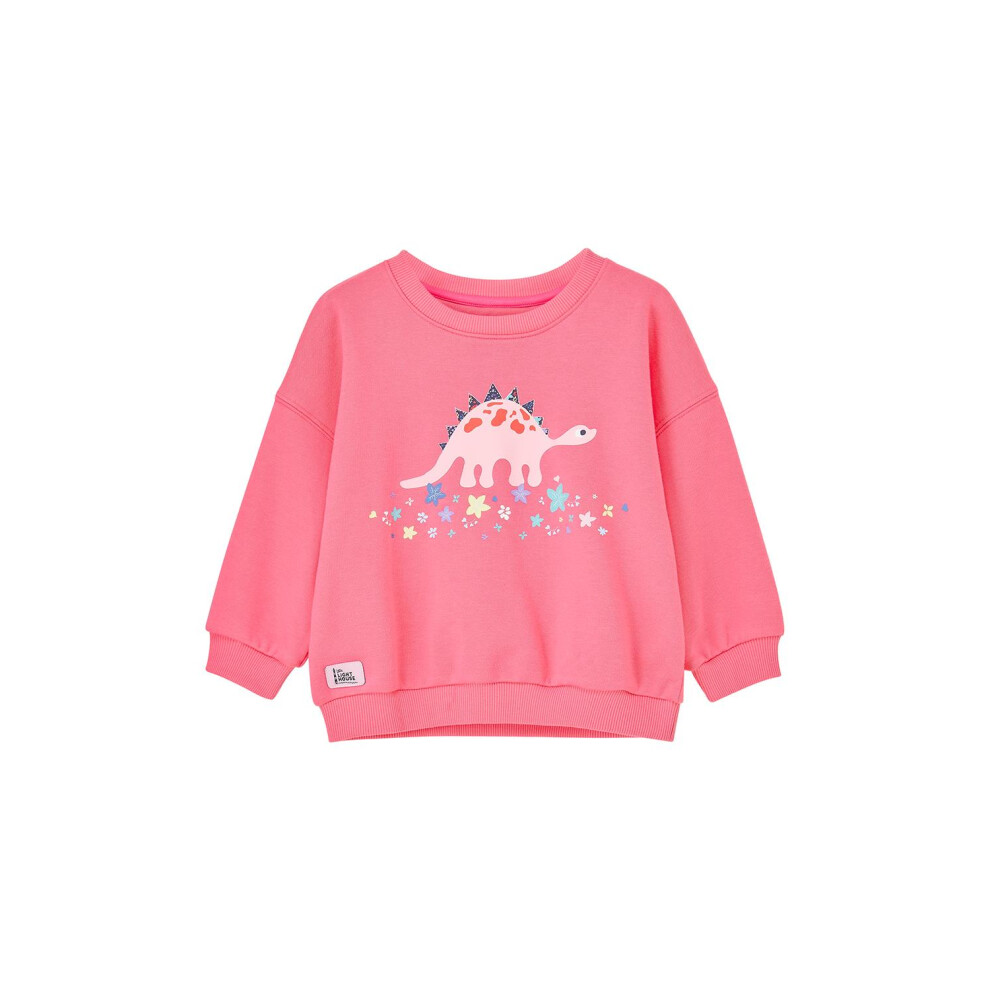 Lighthouse (4-5 Yrs, Steggie Print) Girls' Flora Cotton Stretch Sweatshirt - Kids' Printed Jersey