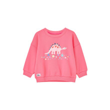 (2-3 Yrs, Steggie Print) LightHouse Girls' Flora Cotton Stretch Sweatshirt - Kids' Printed Jersey