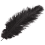 20 stk naturlige strudsefjer, 25-30 cm, sort, festdekoration 3