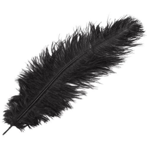 20 stk naturlige strudsefjer, 25-30 cm, sort, festdekoration 2