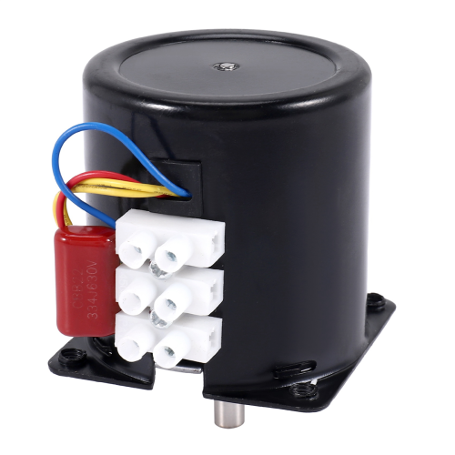 Motore sincrono a magneti permanenti CW/CCW Motoriduttore elettrico 4W