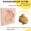 Cookie Mold Shortbread Wooden Biscuit Cutter Gingerbread Mold(Squirrel) 8