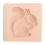 Cookie Mold Shortbread Wooden Biscuit Cutter Gingerbread Mold(Squirrel) 4