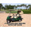 Club Clean Cart Shine 4