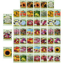Set van 50 verschillende bloemzaadzakjes Bloemzaden in bulk - 10 soorten beschikbaar