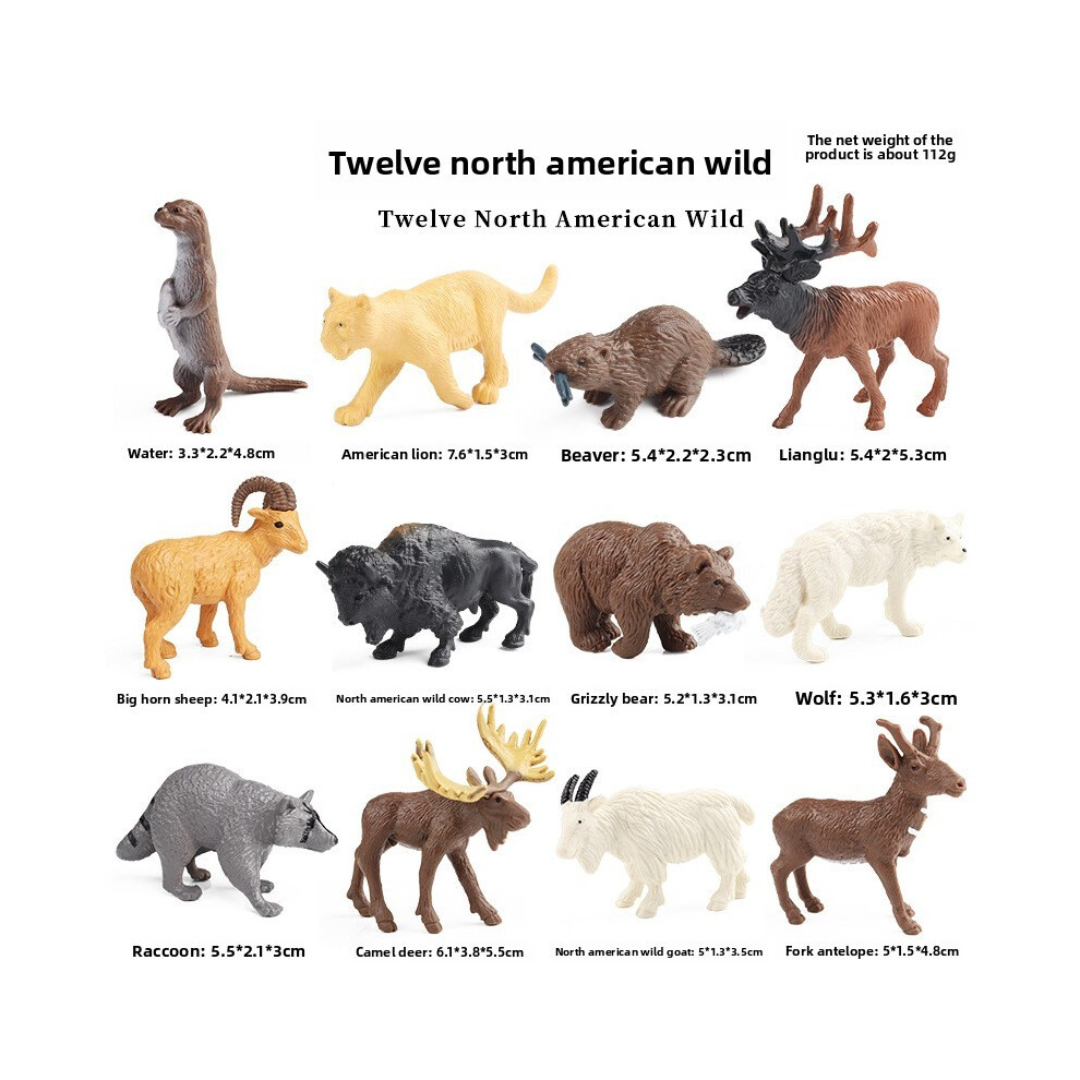 (Style 4) Miniature Model Penguin Set Marine Animal Display Ornament For And Home Office-image-OPC-PHZF5R2-NEW