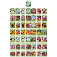Set av 50 fröpaket, blommor i bulk, 15 eller fler sorter tillgängliga