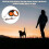Retractable Dog Lead Extendable Leash Reflective Strong Tape with Non-slip Handle 12