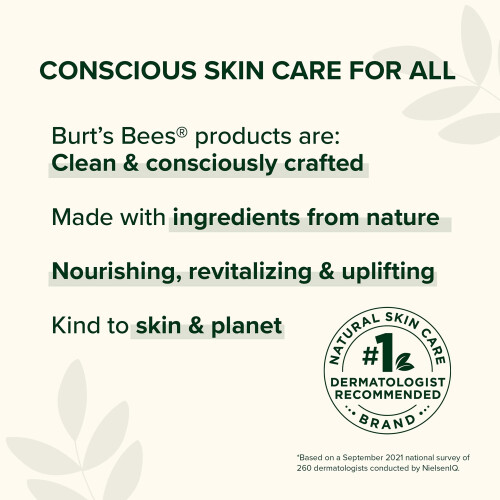 Burt's Bees Burt's Bees Burts Bees Rose Micellar Toning Water 8 Oz 2