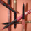 Milani Understatement Lipliner Pencil - Υψηλής Πυκνότητας Μηχανικό Μολύβι Χειλιών, Εύκολο στη Χρήση 5