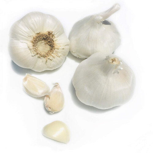 Frische Knoblauchknollen von Kejora ? Menge: 5 Knollen