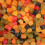 Lion Midget Gems 2kg 3