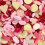 (Pink Sweets Mix) 3.5kg Mega Sweet Jar 7