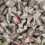 (225g Sweet Pouch) Liquorice & Aniseed 2