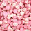 (225g Sweet Pouch) Mushrooms 1