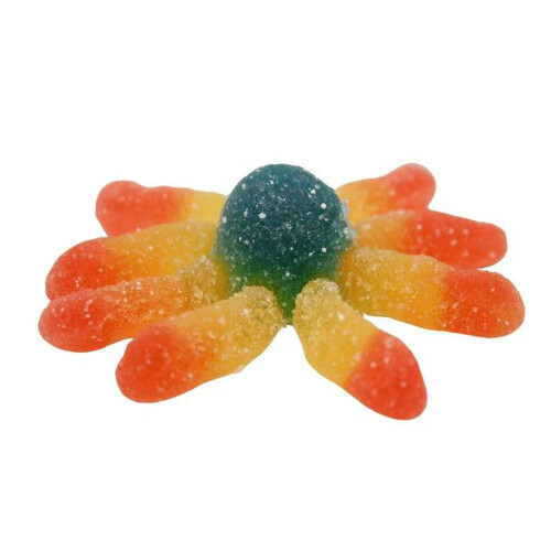 (1kg Sweet Pouch) Sour Jelly Octopus 2