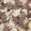 (500g Sweet Pouch) Cola Skulls 2