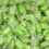 (1.75kg Sweet Jar) Sugar Free Chocolate Limes 2