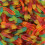 (3kg Bulk Bag) Jelly Snakes 1