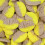 (2.2kg Sweet Jar) BUBS Banana Ovals 2
