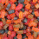 Lion Football Gums 2kg 3