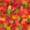 (225g Sweet Pouch) Gummy Ice Pops 2
