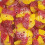 (3.2kg Bulk Bag) BUBS Big Sour Skulls 2