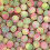 (225g Sweet Pouch) Rosey Apples 1