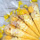 Prefilled Sweet Shop Made Yellow Sweet Cone 2