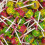(400g Sweet Jar) Chupa Chups Assorted Sour Lollipops 1